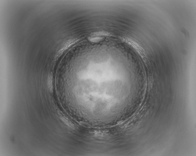 X0000116460345200912091253