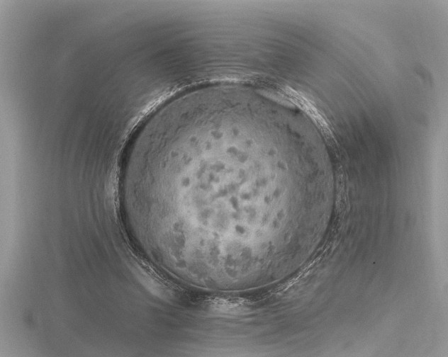 X0000116460346200912091253