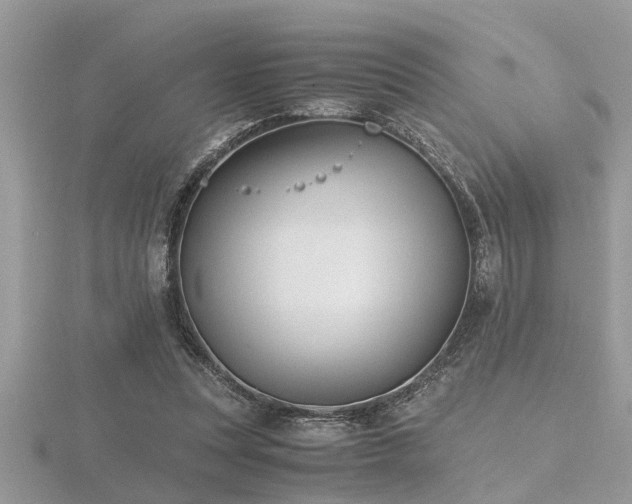 X0000116460351200912091253