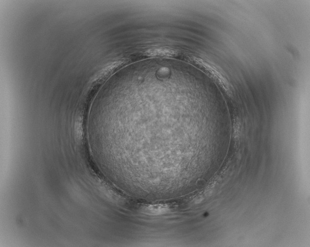 X0000116460353200912091253