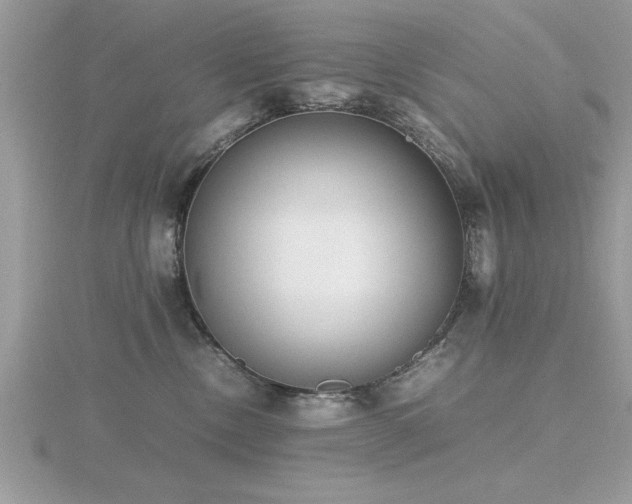 X0000116460378200912091254