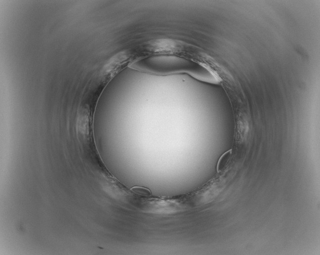 X0000116460379200912091254