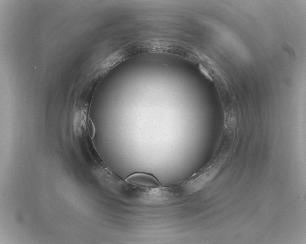 X0000116460382200912091254
