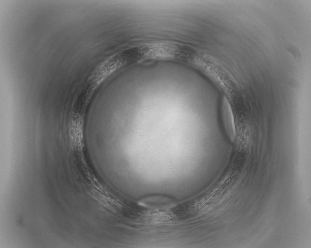 X0000116460386200912091253