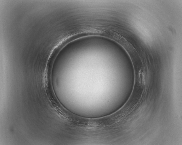 X0000116460388200912091253