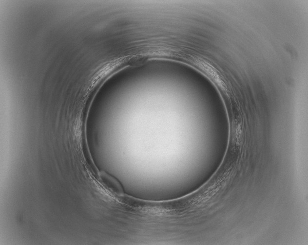 X0000116460389200912091253
