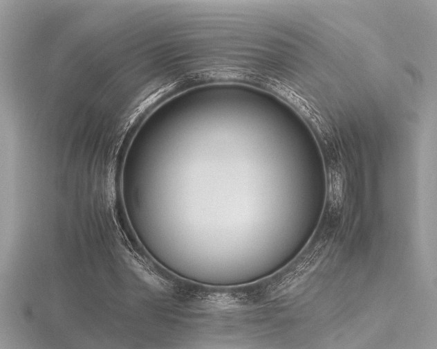 X0000116460390200912091253