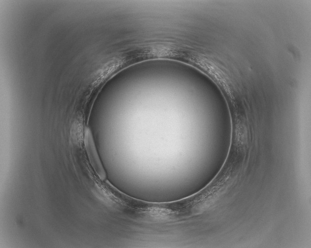 X0000116460393200912091253