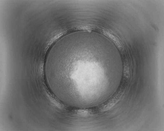 X0000116460394200912091253