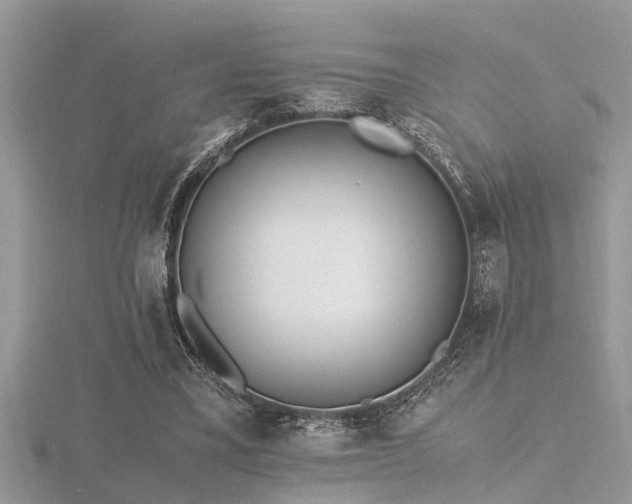 X0000116460395200912091253