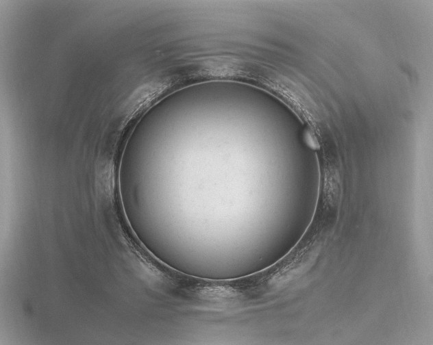 X0000116460397200912091253