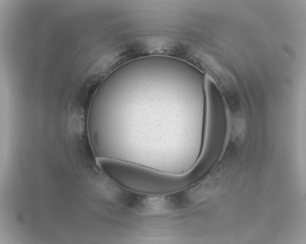 X0000116460413200912091253
