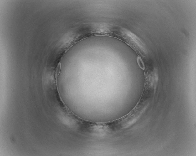 X0000116460415200912091253