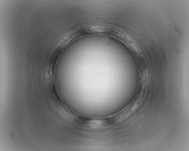 X0000116460418200912091252