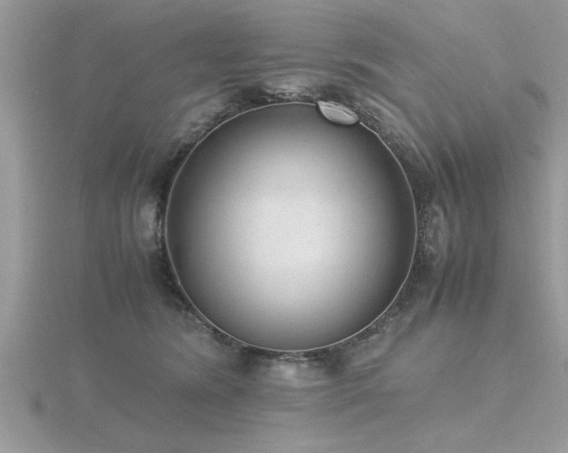 X0000116460420200912091252