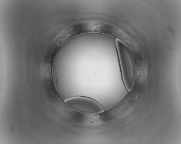 X0000116460421200912091252