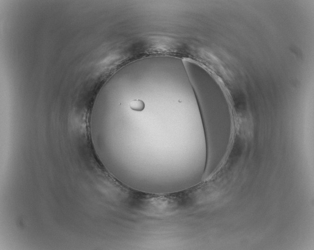 X0000116460423200912091252