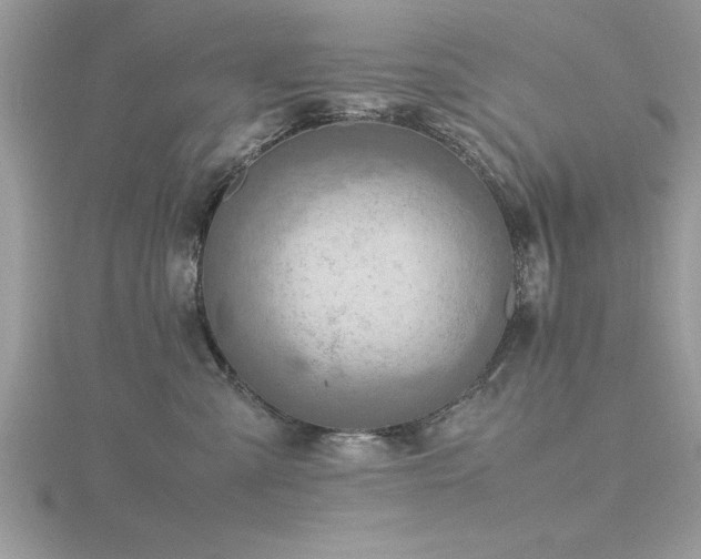 X0000116460427200912091252