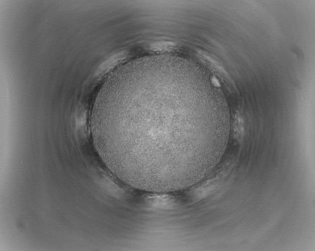 X0000116460428200912091252