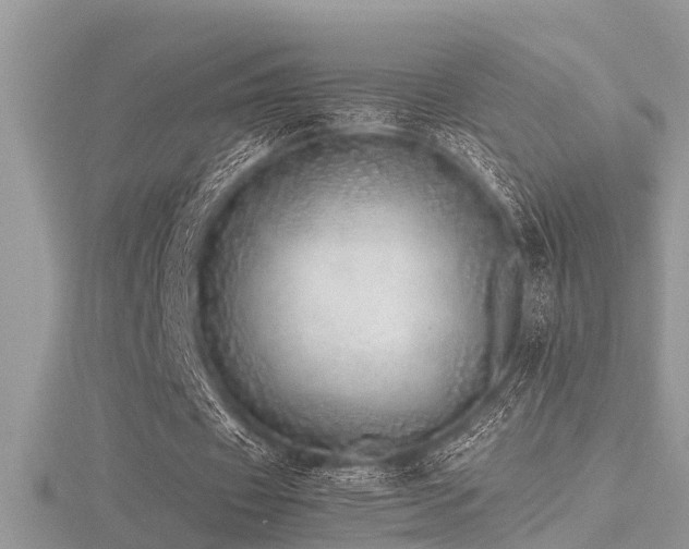 X0000116460433200912091252