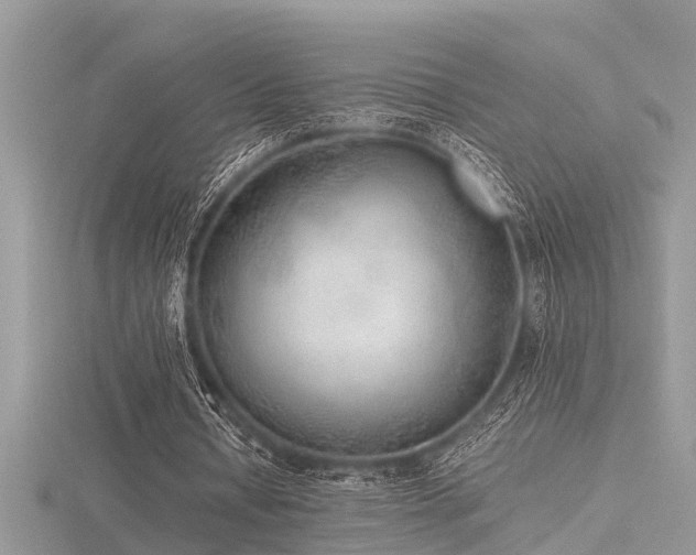 X0000116460434200912091252