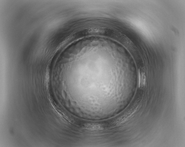 X0000116460435200912091252