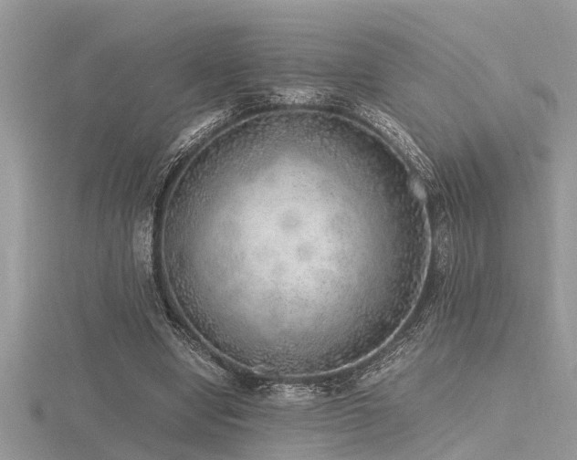 X0000116460442200912091252