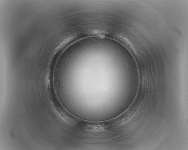 X0000116460443200912091252