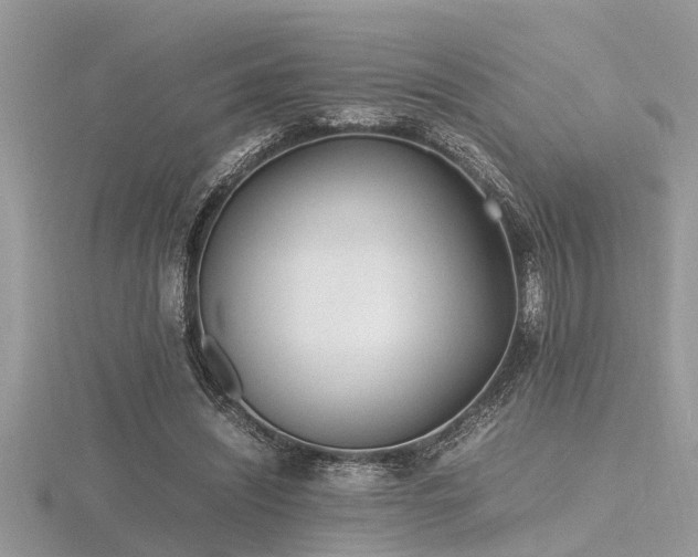 X0000116460444200912091252
