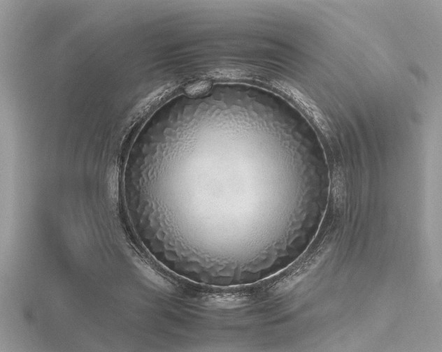 X0000116460445200912091252
