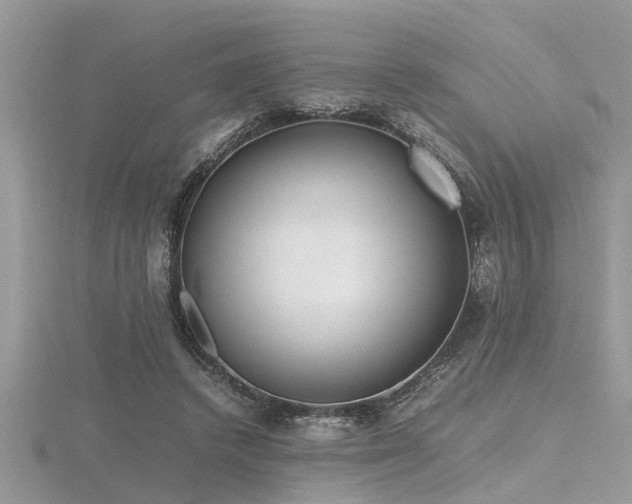 X0000116460448200912091252