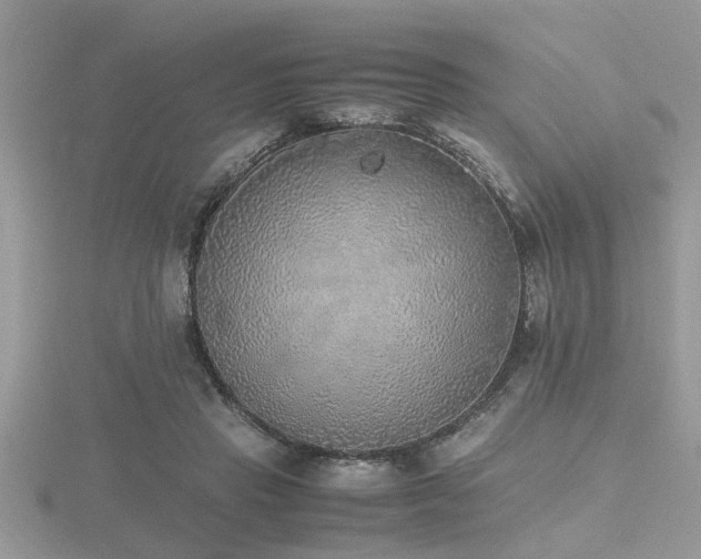 X0000116460453200912091252