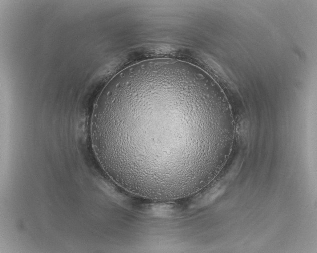 X0000116460462200912091252