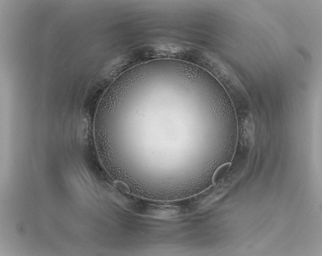 X0000116460463200912091252