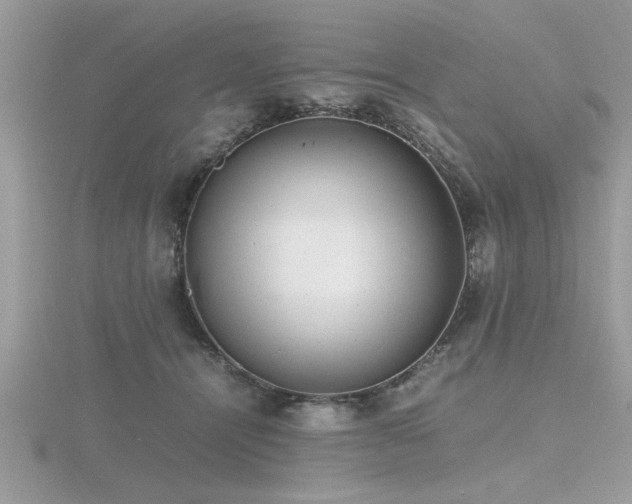X0000116460464200912091252