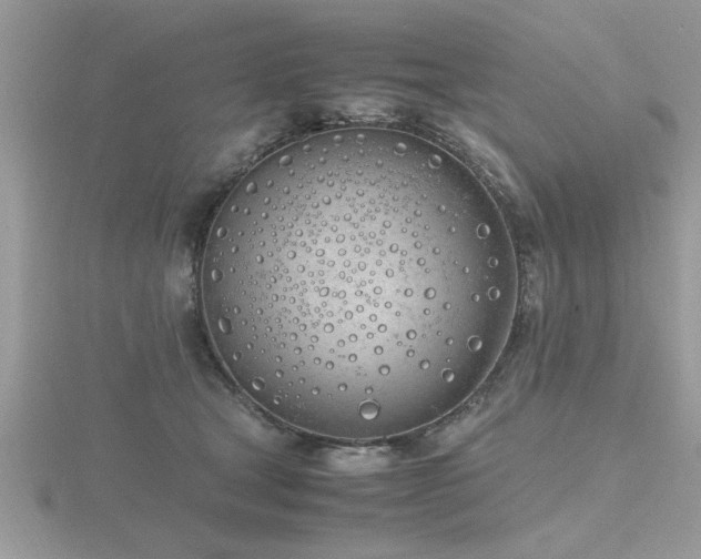 X0000116460465200912091252