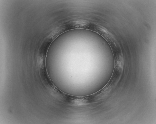 X0000116460468200912091252