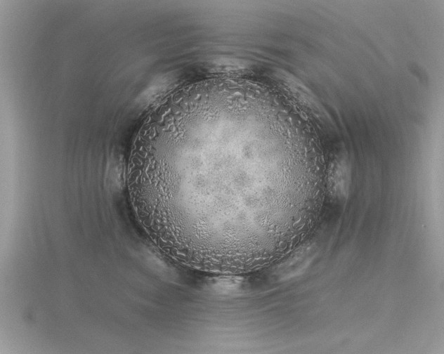 X0000116460474200912091252