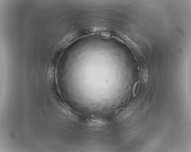 X0000116460475200912091252
