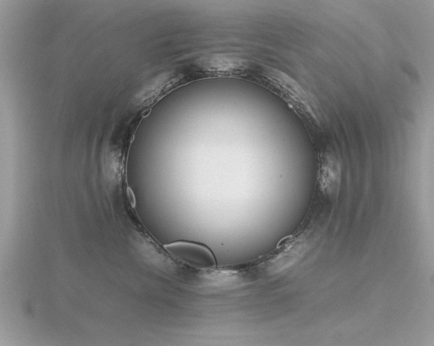X0000116460476200912091252
