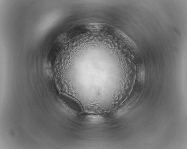 X0000116460477200912091252