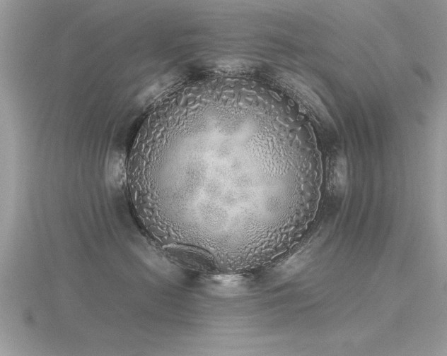 X0000116460478200912091252
