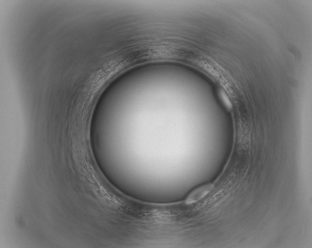 X0000116460481200912091252