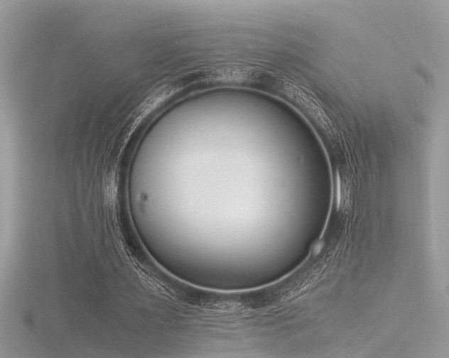 X0000116460483200912091252