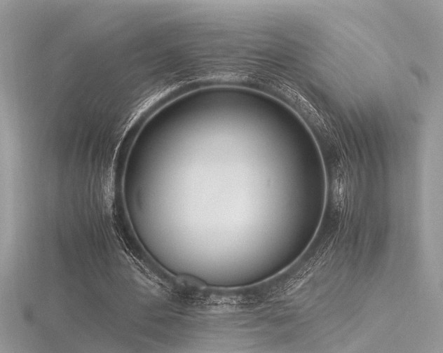 X0000116460484200912091252