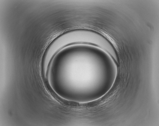 X0000116460485200912091252
