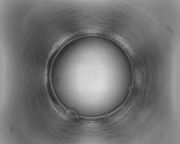 X0000116460486200912091252