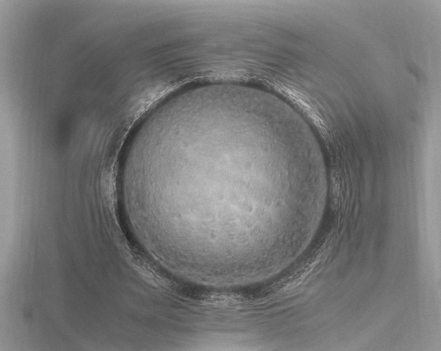 X0000116460487200912091252