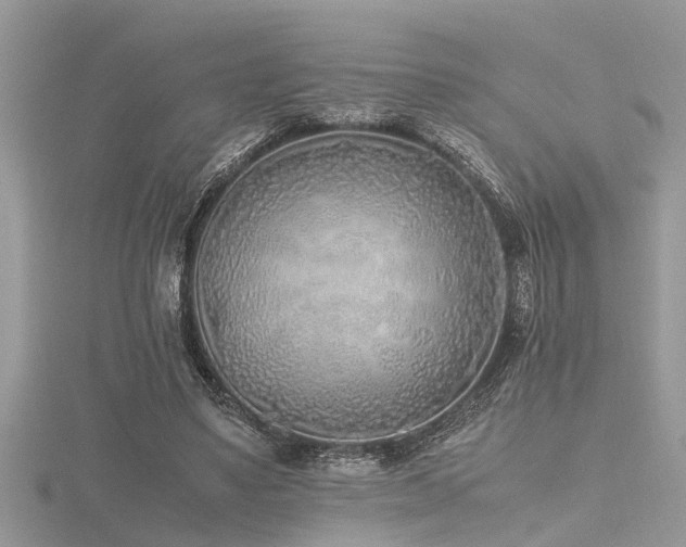 X0000116460491200912091252