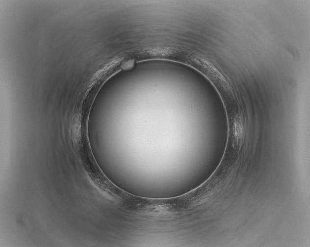 X0000116460492200912091252